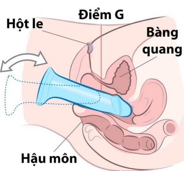 Cách sử dụng dương vật giả