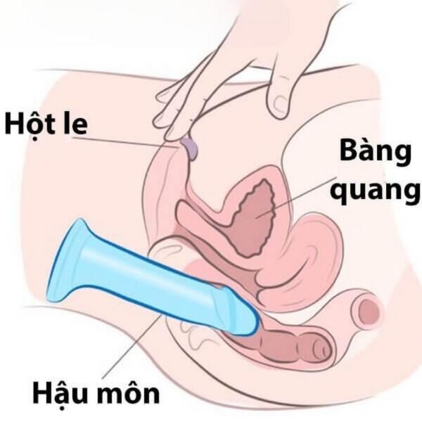 Cách sử dụng dương vật giả